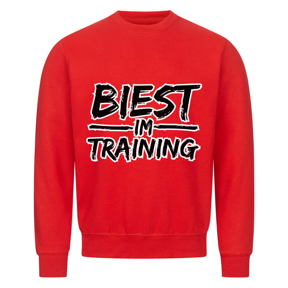 Classic Sweatshirt