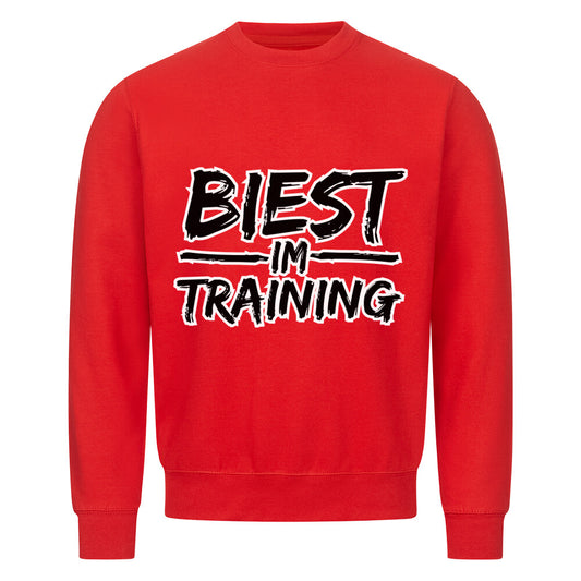 Classic Sweatshirt